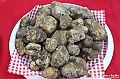 VBS_4278 - Fiera Nazionale del Tartufo Bianco 2024
